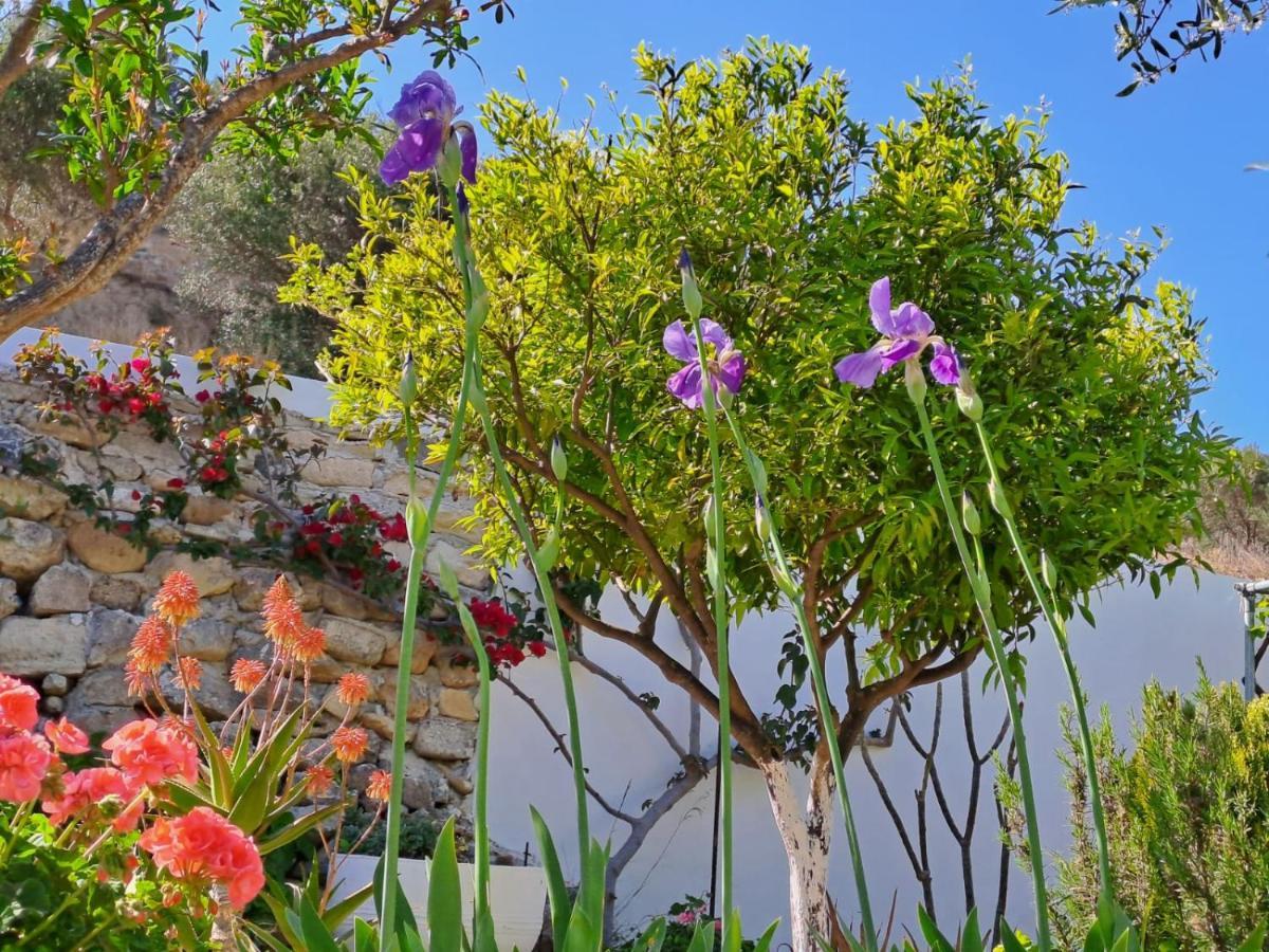 Villa Arhondia House à Ierápetra Extérieur photo